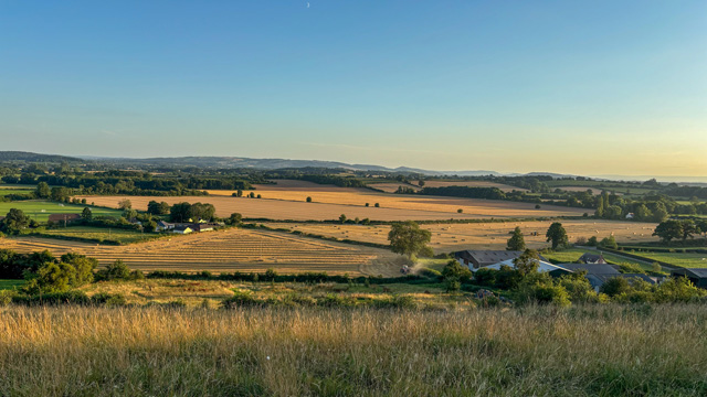 site-harvest-golden-hour.jpg